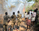 Wildfire breaks out at Kalanjimale Reserve Forest, Locals avert major calamity